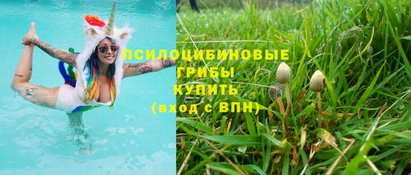 мескалин Арсеньев