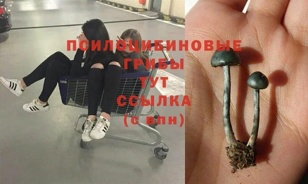 метамфетамин Аркадак