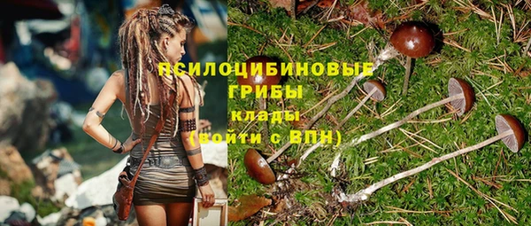 хмурый Алзамай