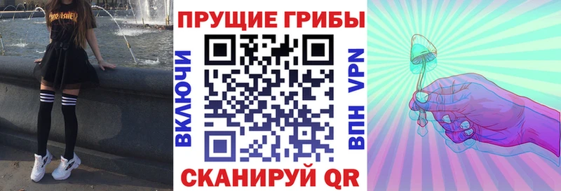 наркота Рубцовск Галлюциногенные грибы прущие грибы